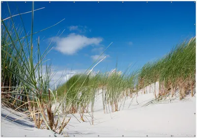 Produktbild von Wallario XXL Outdoor-Poster für Garten oder Balkon, Motiv Düne am Strand unter blauem Himmel, in ca. 400 x 280 cm