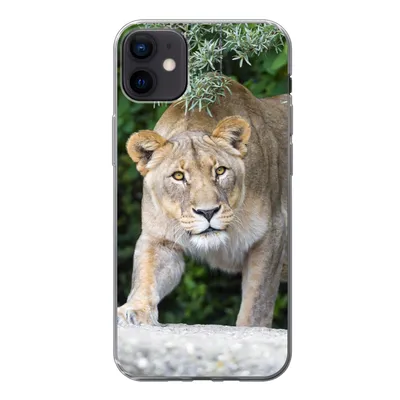 Produktbild von MuchoWow® Handyhülle Schutzhülle Hülle für iPhone 12 mini Löwinnen - Wilde Tiere - Jagd Silikon Softcase Handy Hülle - Bild