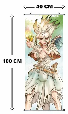 Obrázok produktu pre Veľký zvitkový obraz Dr. Stone | Kakemono z látky | Plagát 100x40cm | Motív: Ishigami Senkuu