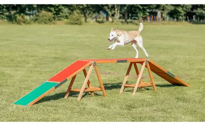 Produktbild von TRIXIE Fun Agility Steg - diverse - 456 × 64 × 30 cm