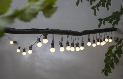 A string of party lights hangs from a branch against a wall.