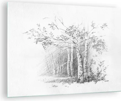 Produktbild von Bilder auf glas - Einteilig - Skizze Wald Birke - 70x50cm - Glasbilder - Wandbilder - Bilder - zum Aufhängen bereit - Wanddekoration aus Glas - Glas Bilder - Wandbild auf Glas - GAA70x50-4280