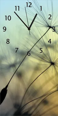 Produktbild von Wallario Design Wanduhr bedruckt, Größe 30 x 60 cm, Motiv: Samen der Pusteblume in Nahaufnahme vor blauem Himmel
