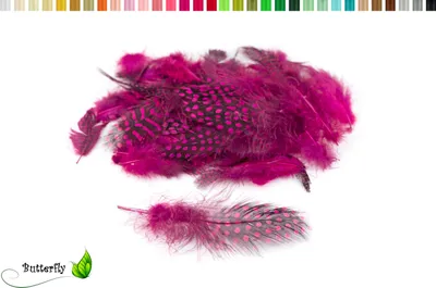 Produktbild von 3g Perlhuhnfedern ca. 3-10cm, Farbauswahl:fuchsia / magenta 183D