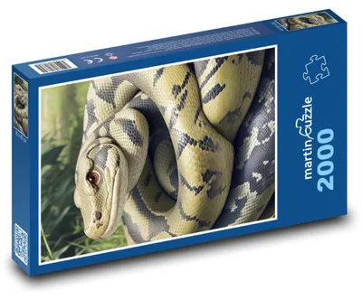 Obrázek produktu pro martinpuzzle - Puzzle 2000 - Had