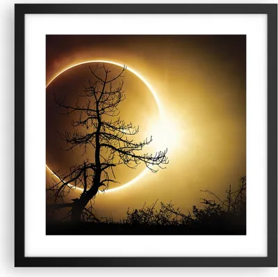 Produktbild von Gerahmtes Poster - Schwarzer Rahmen - Sonnenfinsternis die Sonne Baum - 40x40 cm - Wand Bild - Wanddeko - Wandbilder - Wandposter - Bilderrahmen - Bilder - Kunstdruck - Wandbild - P2BAC40x40-4349
