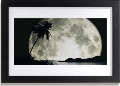 Produktbild von Bild 30x20 MDF-Rahmen Wandkunst Nachtmond Landschaft Palm