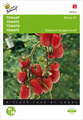 Produktbild von Tomate Roma VF | Tomatensamen von Buzzy Seeds