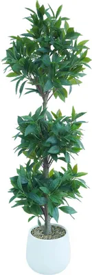 Produktbild von Künstlicher Lorbeerbaum - Topfpflanze 120 cm - Mit Stamm - Für Außenbereich - Kunststoff - Bodenaufstellung - Weißer Topf, Milchweiß