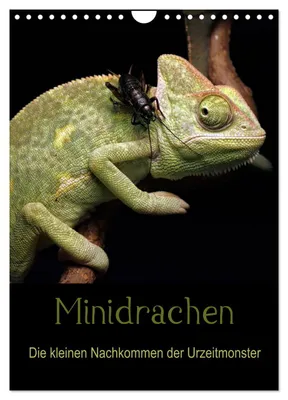 Produktbild von Minidrachen - Die kleinen Nachkommen der Urzeitmonster (Wandkalender 2027 DIN A4 hoch), CALVENDO Monatskalender