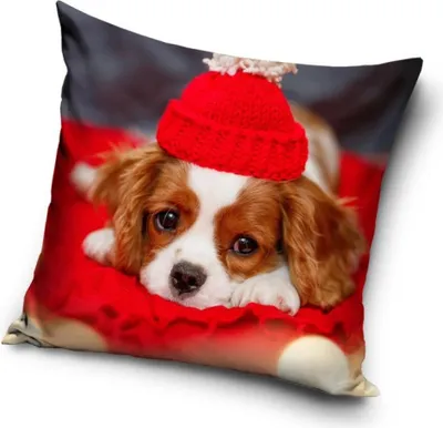 Immagine prodotto di Fodera per cuscino per cani 40*40 cm
