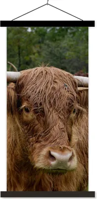 Produktbild von MuchoWow® Textilposter Schottische Hochlandrind - Tiere - Gras 60x120 cm mit schwarzem Rahmen - Magnete