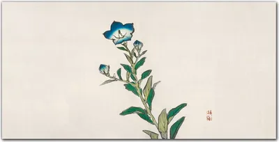 Produktbild von Coloray Bild aus Leinwand 100x50 Leinwand Dekoration - Asiatische Blumenpflanzen