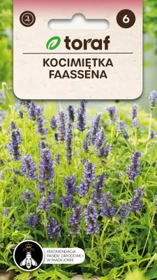 Zdjęcie produktu dla Kocimiętka FAASENA Nasiona kwiatów - 544 Toraf
