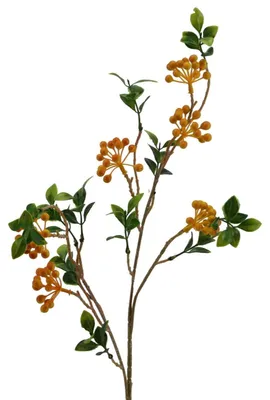 Produktbild von Künstlicher Beerenzweig, Feuerdorn, ca. 66 cm. ORANGE - GELB