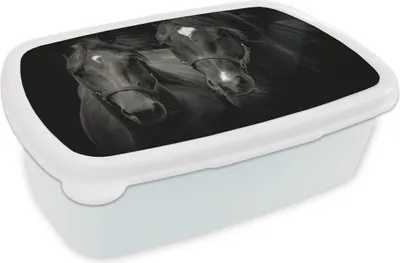 Produktbild von KitchenYeah® Lunchbox Brotzeit Brotdose 17x11 cm Pferde - Tiere - Schwarz Kinder Brotzeitdose - Lunch Box - Kinder - Sandwich-Box - Schulbox - Lunch Boxen