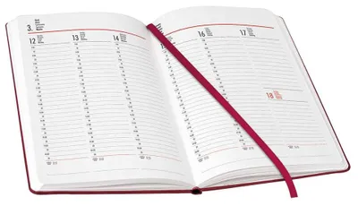 Productafbeelding van BSB 02-0148 Boekagenda "V-book" - 1 week / 2 pagina's, A5, bruin