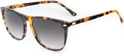 Image de Lunettes de soleil Belstaff meriianis16