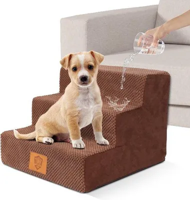 Image de Piège pour petits chiens