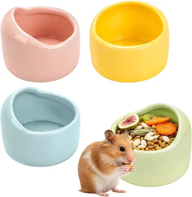 Productafbeelding van Keramische voerbakken, 4 stuks, kauwbestendig, voor kleine dieren