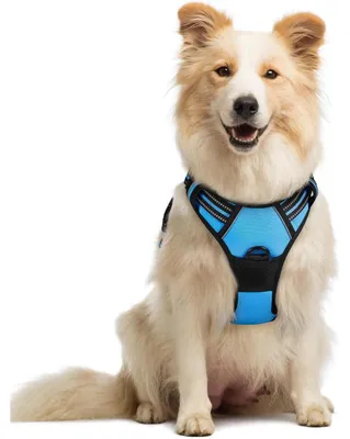 Image de Harnais pour chien anti-traction avec contrôle, anti-traction, réglable, respirant, réfléchissant, bleu clair, taille M