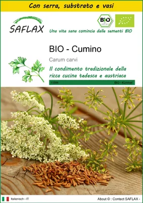 Immagine prodotto di SAFLAX Insieme di coltivazione -- Cumino - 800 semi - Carum