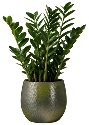 Produktbild von Mica Decorations Pflanzentopf - Keramik - dunkelgrun glanzend / gerippt - D17 x H18 cm - Blumentopf