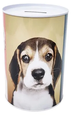 Sparschwein Hunde-Design, Metall, 16 x 11 cm, nicht zu öffnen
