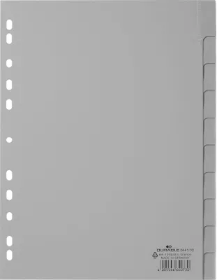 Obrázok produktu pre DURABLE Blanko-Register PP blanko Taben 10-teilig grau