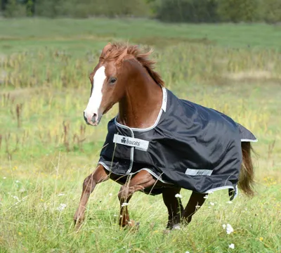 Produktbild von Bucas Smartex Turnout Rain Classic 0g - black