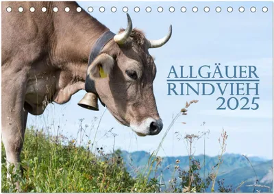 Produktbild von Allgäuer Rindvieh 2025 (Tischkalender 2025 DIN A5 quer), CALVENDO Monatskalender