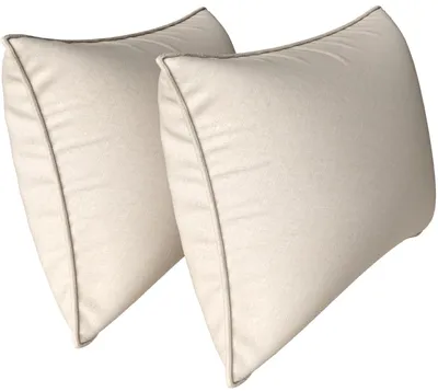 Immagine prodotto di Omgoods - Set di 2 cuscini morbidi, 40x60 cm - Cuscini decorativi per divano e camera da letto
