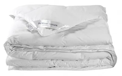 Produktbild von bettdecke Dream220 x 140 cm Baumwolle/Polyester weiß