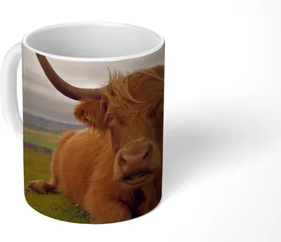 Produktbild von MuchoWow® Tasse Kaffeetasse Kaffeebecher 350 ml Schottisches Hochlandrind - Tiere - Berg Teetasse - Fototasse - Becher - Keramikbecher - Teebecher - Kaffeetasse - Bürotasse