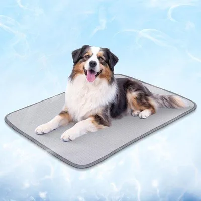 Produktbild von Famanu Kühlmatte für Hunde und Katzen - selbstkühlend, wasserfest, faltbar, 50 x 70 cm