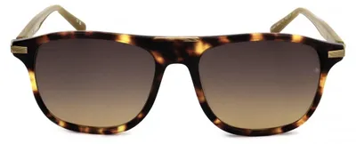 Produktbild von Scotch & Soda Sonnenbrille SS8013 102 54 17 145
