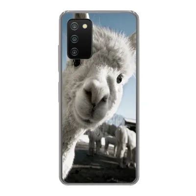 Produktbild von MuchoWow® Handyhülle Schutzhülle Hülle für Samsung Galaxy A03s Alpaka - Weiß - Tier Silikon Softcase Handy Hülle - Schutz