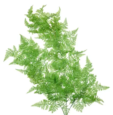 Image de Clayre & Eef Fleur artificielle 80 cm vert plastique