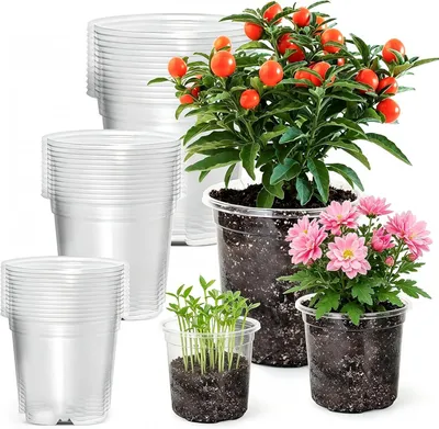 Obrázok produktu pre Kvetináče na orchideje 36 ks, priehľadné, 9, 10 a 13 cm, plast, pre rastliny