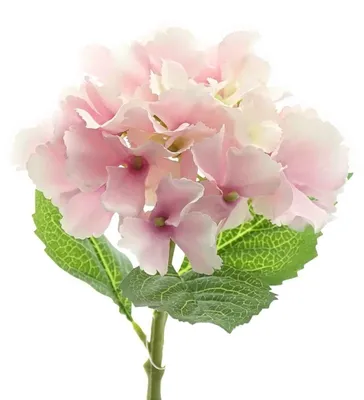 Produktbild von GASPER Hortensienblüte Rosa 33 cm - Kunstblumen
