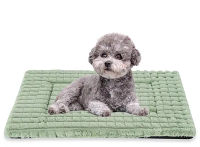 Immagine prodotto di Tappetini per animali lavabili in memory foam