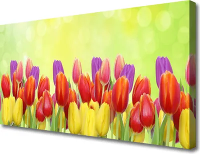 Produktbild von Tulup Leinwand-Bilder 100x50 Wandbild Canvas Kunstdruck Tulpen Pflanzen