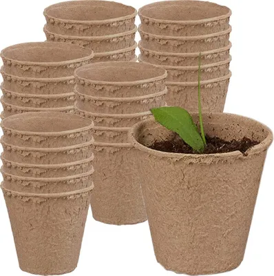 Produktbild von 24 SETS 8 x 8 CM Erbsentöpfe EDA8471 Hamster