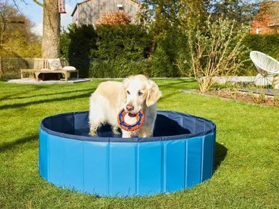 Produktbild von Famanu Hundepool - Aufblasbar - Kühlung für Haustiere - Außenvergnügen