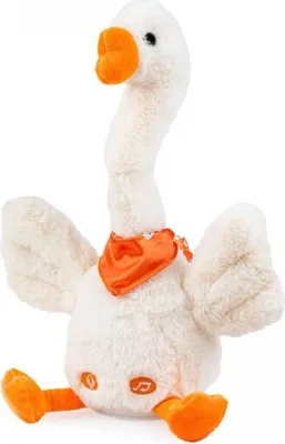 Produktbild von Dumel Discovery Zwariowana G? Interaktywna