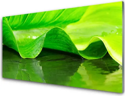 Produktbild von Acrylglasbilder 100x50 Wandbild Druck Blatt Pflanzen