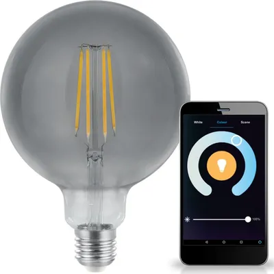 Obrázek produktu pro LED žárovka E27 G125 4,9W = 40W 4000 - 6500 CCT+DIMM 270° Tuya Wi-Fi/Bluetooth