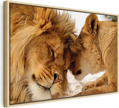 Produktbild von Italienischer Leinwand Leinwandbild - Love's Secret 90x60 cm Tiere g-B-0034-b-c