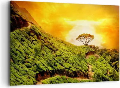 Produktbild von Bild auf Leinwand - Leinwandbild - Berg Baum Pfad Hügel - 120x80cm - Wand Bild - Wanddeko - Leinwanddruck - Bilder - Kunstdruck - Wanddekoration - Leinwand bilder - Wandkunst - AA120x80-2715