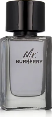 Image de Burberry Mr. Burberry EDT 100 ml M